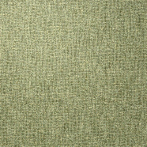 SHENNAI OLIVE